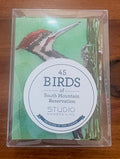 Birds of South Mountain - Studio Number Nine